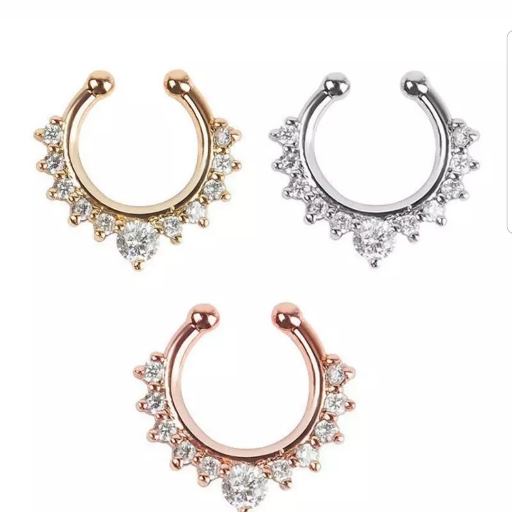 Nose septum faux rings one each only - Picture 1 of 6
